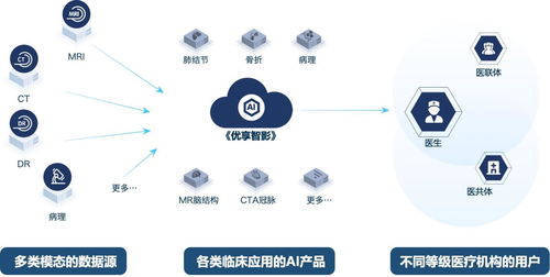 布局新賽道，探索數字新征程——寧波市首批公共數據授權運營應用場景上線